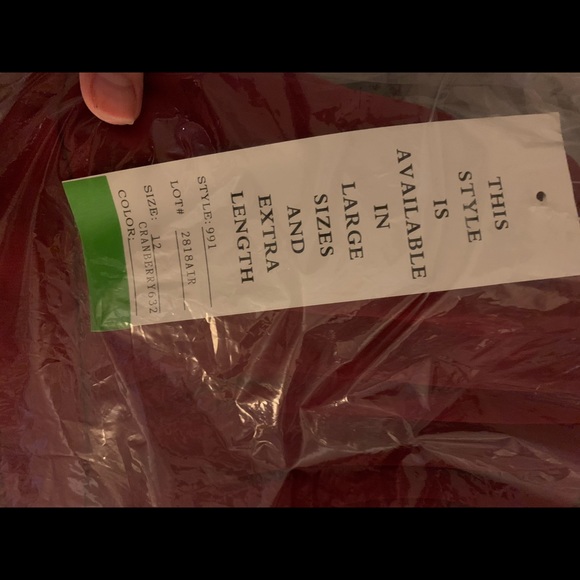 Chiffon bridesmaids dress, brand new with tags - Picture 5 of 6